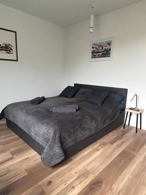 Apartament Stary 슈체친 외부 사진