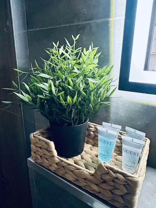 Apartament Stary 슈체친 외부 사진