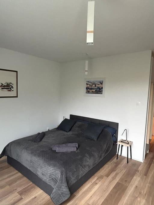 Apartament Stary 슈체친 외부 사진