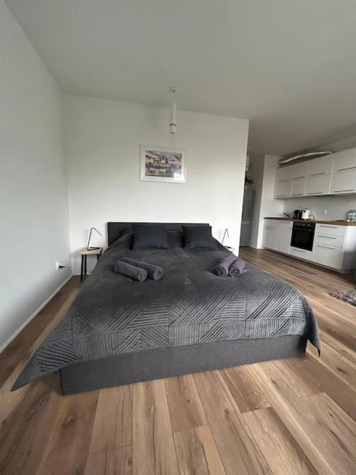 Apartament Stary 슈체친 외부 사진